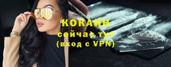 амф Каменногорск