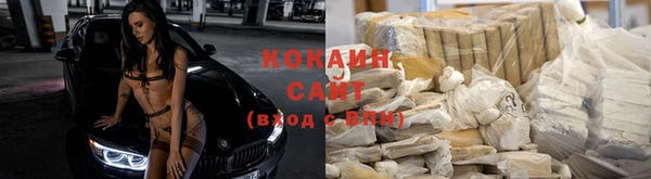 амф Каменногорск