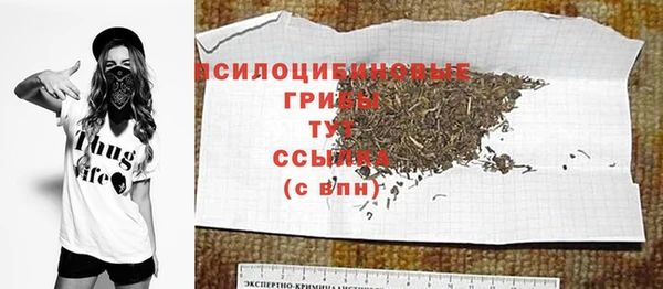 прущая мука Каменка