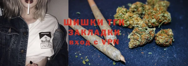 амф Каменногорск