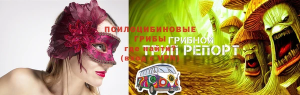 амф Каменногорск